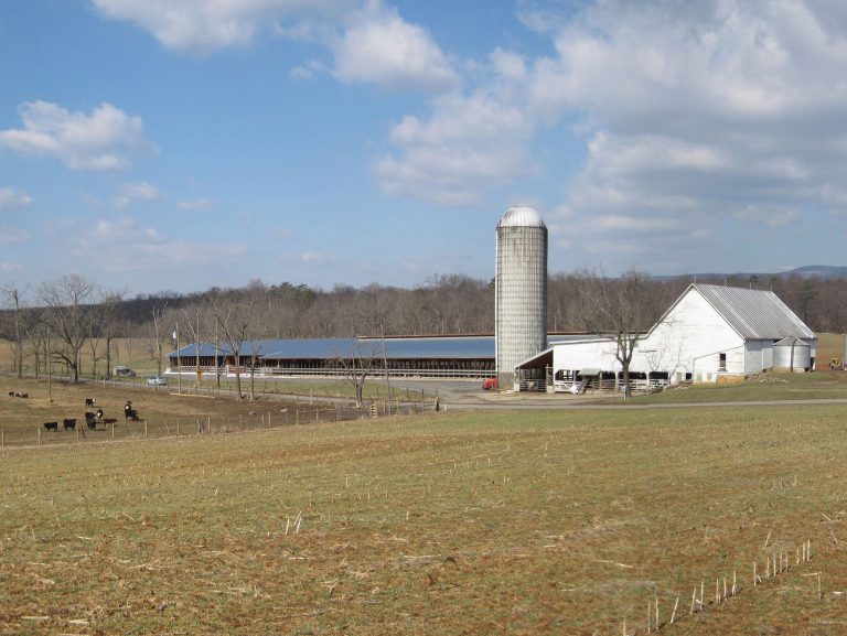 Shenandoah easement donor: “We’re going to take care of the land”