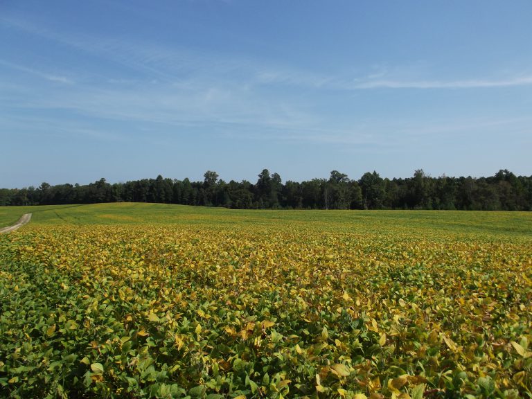 21,000 new acres of open space protected by VOF in 2015