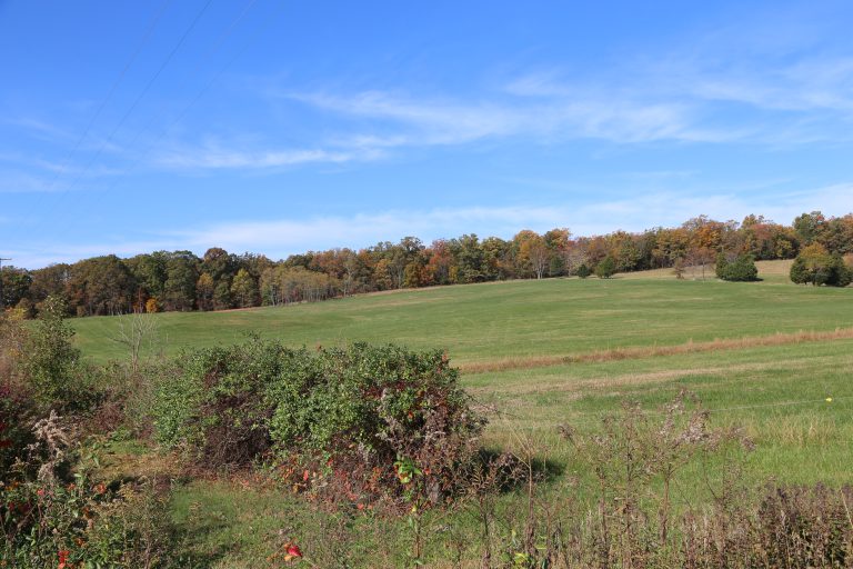 Hansbrough's Ridge