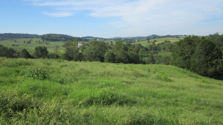 Rockingham farmers help protect headwaters of “showcase” Smith Creek watershed