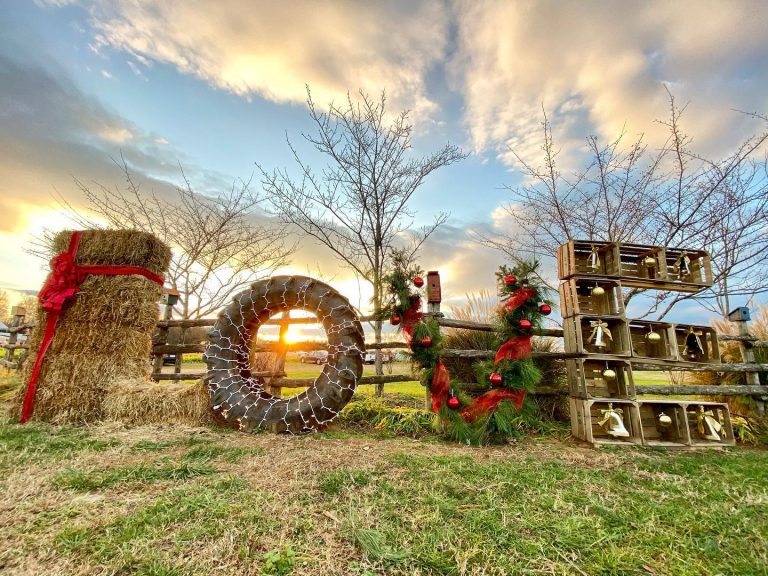 Snead’s Asparagus Farm, Caroline County