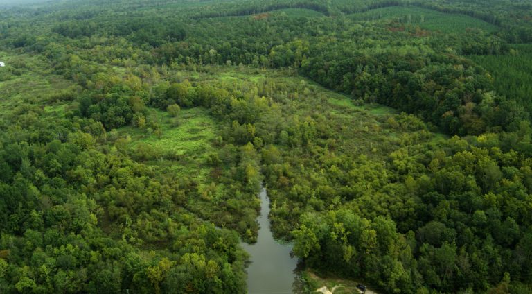 VOF grant helps to establish new State Forest in Charlotte