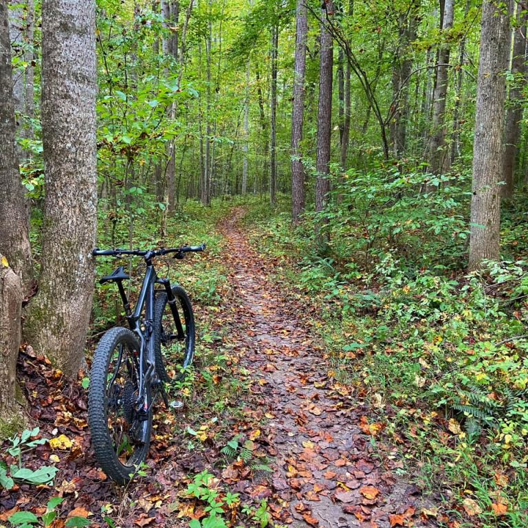 Leake’s Mill Park, Goochland County