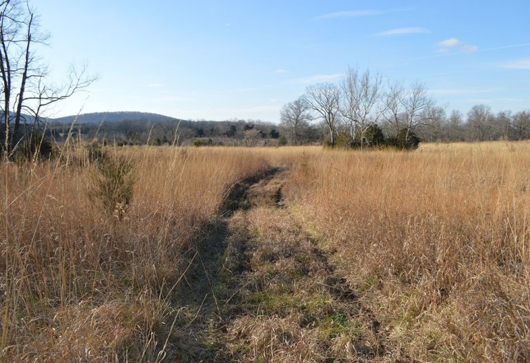 Gilbert’s Corner Regional Park, Loudoun County