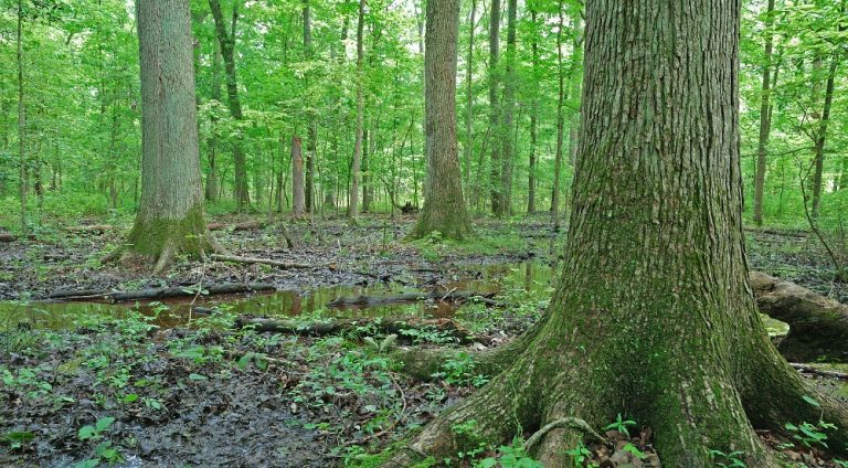 VOF announces nearly $2.7 million for 22 open-space projects